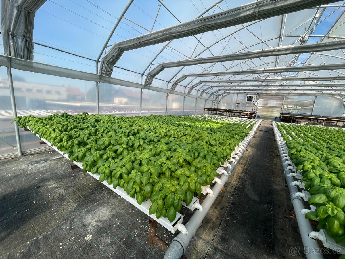 Fóliovník 18x10 - 4