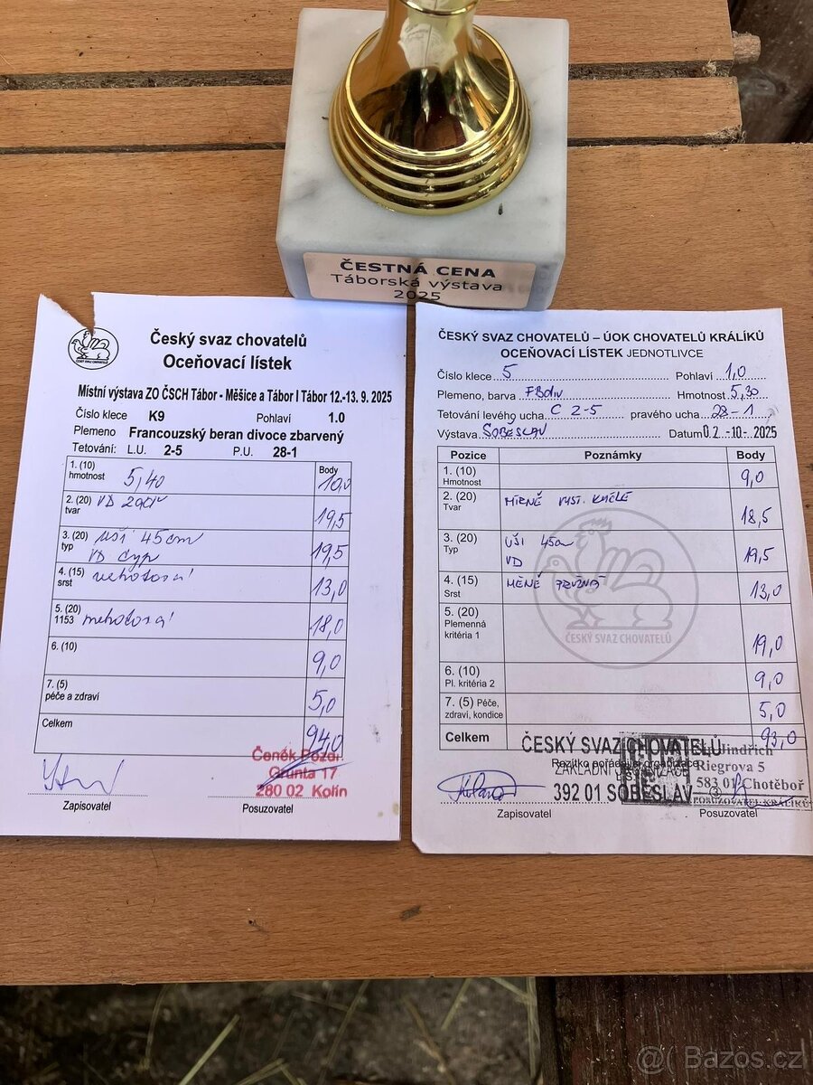 Francouzský beran s PP - 4