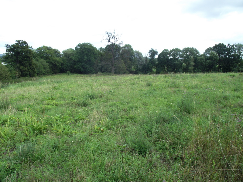 Stavební pozemek 13 700 m² u Hranic na Moravě - 4