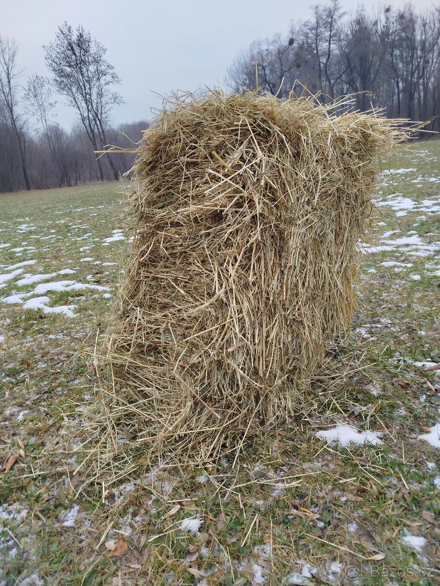 Seno - hranaté balíky - 4
