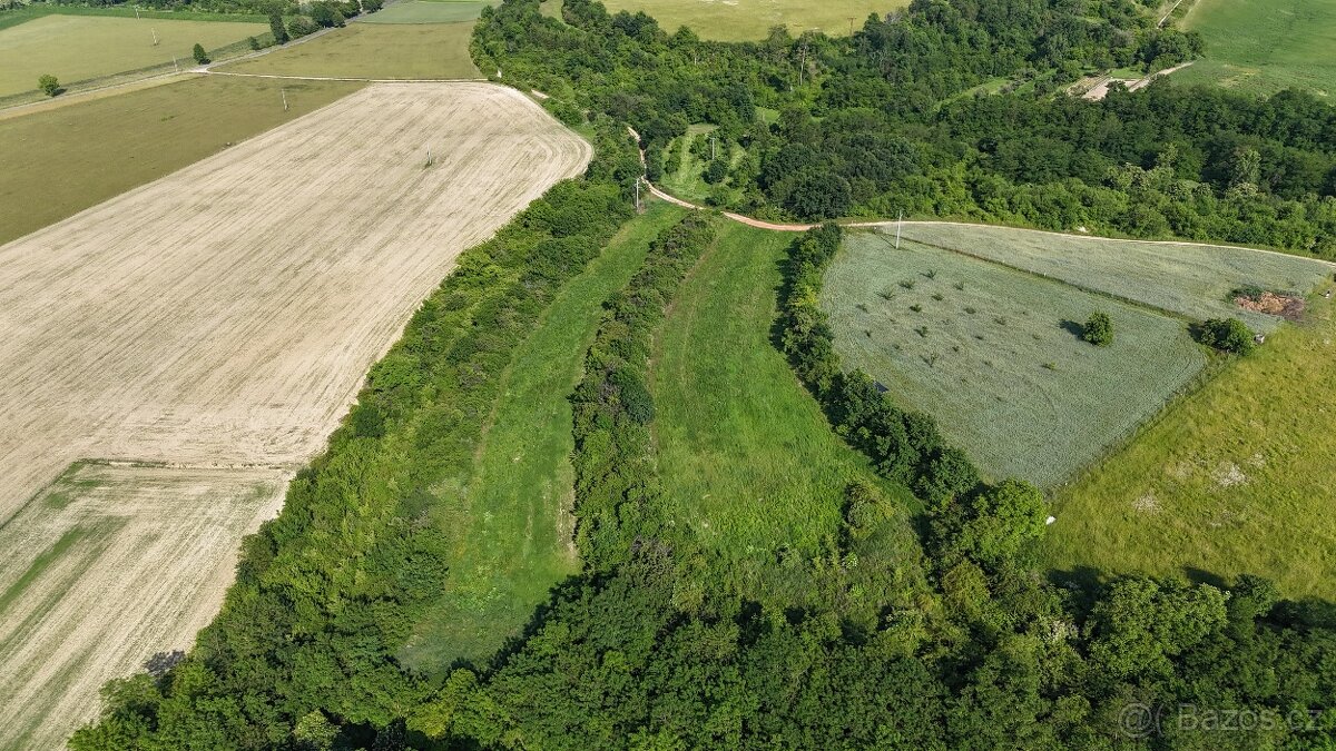 Prodej 1/4 pozemku, Bechlín - 4
