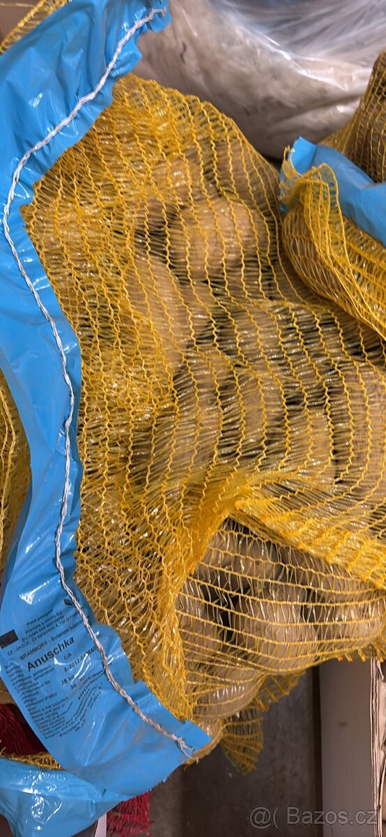 Sadbove brambory - 4