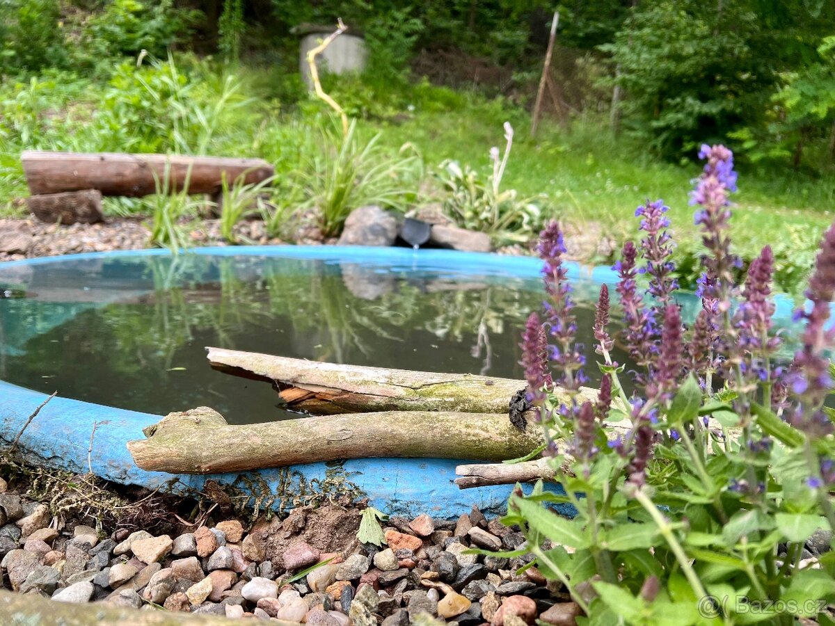 Zahrada Javornik - 4