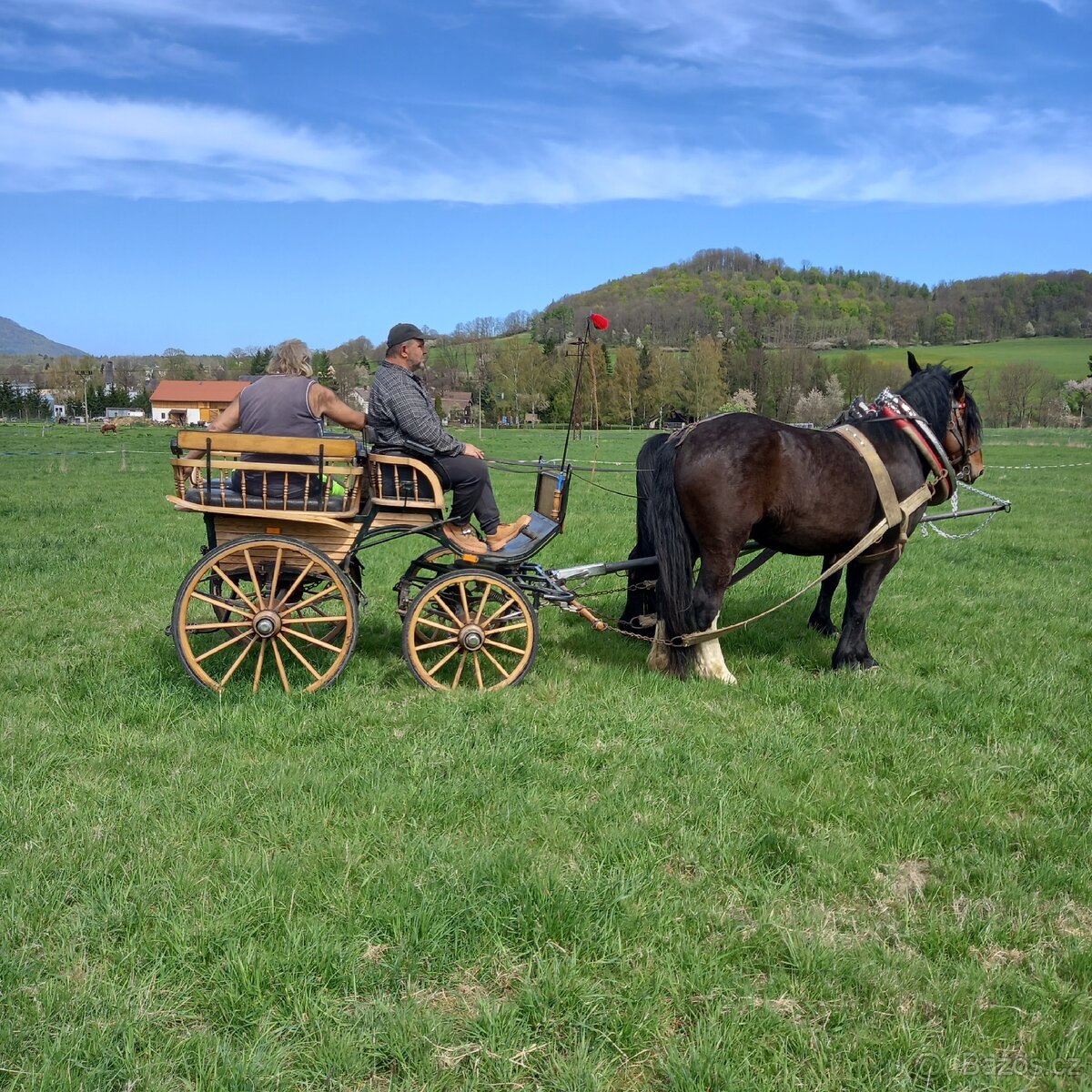 Prodám ČMB - 4