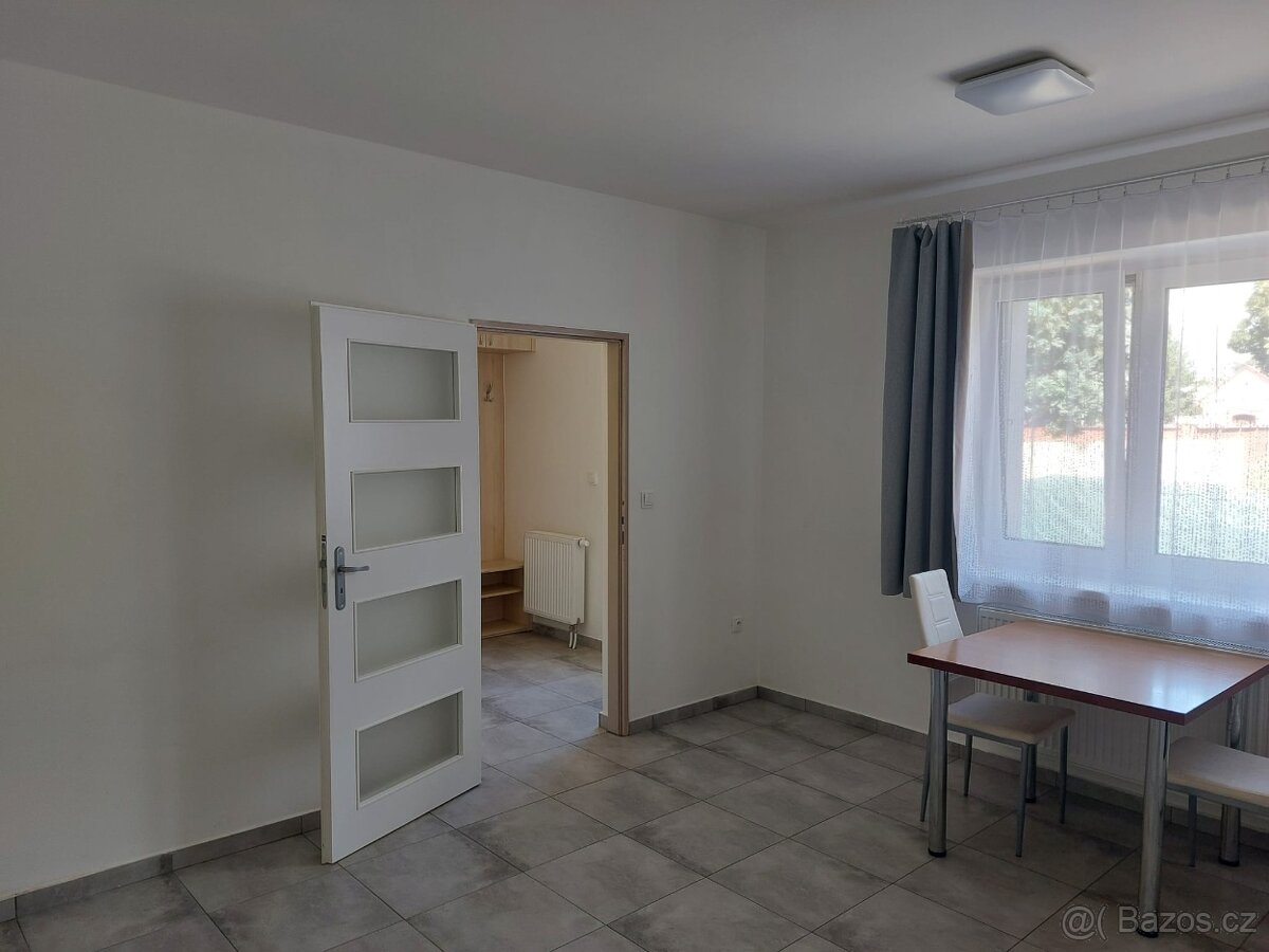 Pronájem 1+kk v Rohatci - 4