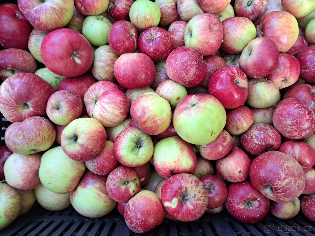 Nabídka jablek, ořechů a dřeva - 4