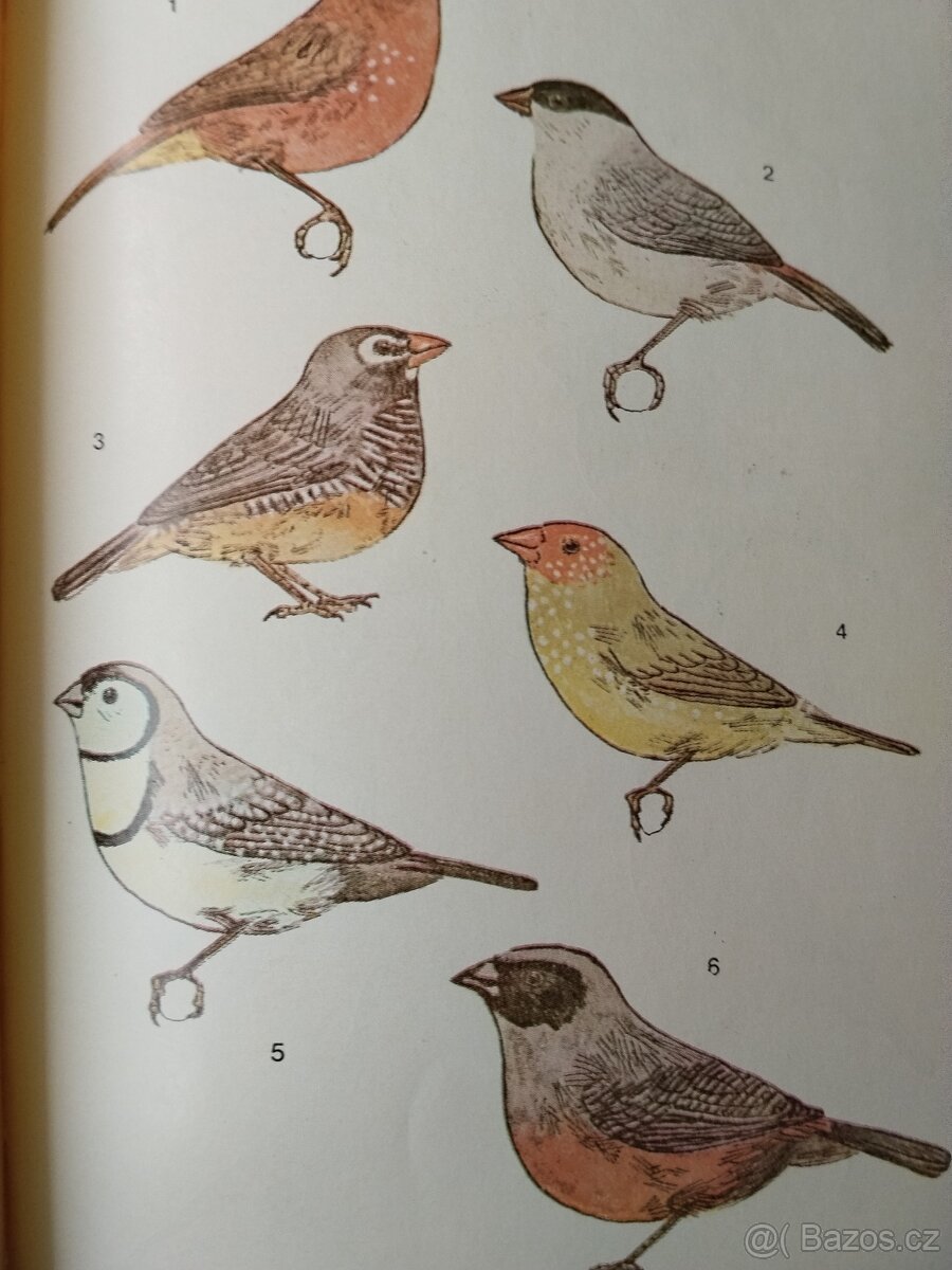 Chovatelská příručka/ droboť, stará kniha - 4