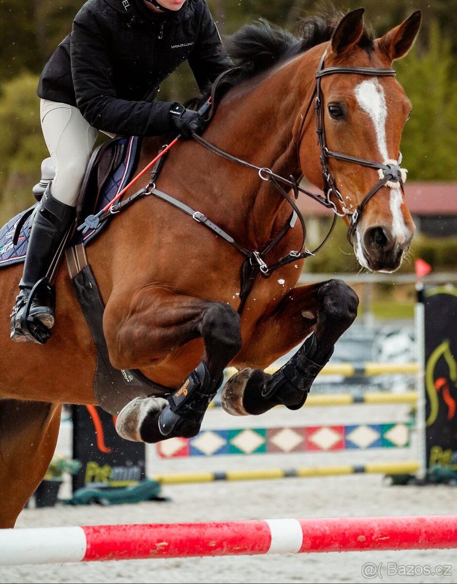 Športová kobyla - 4