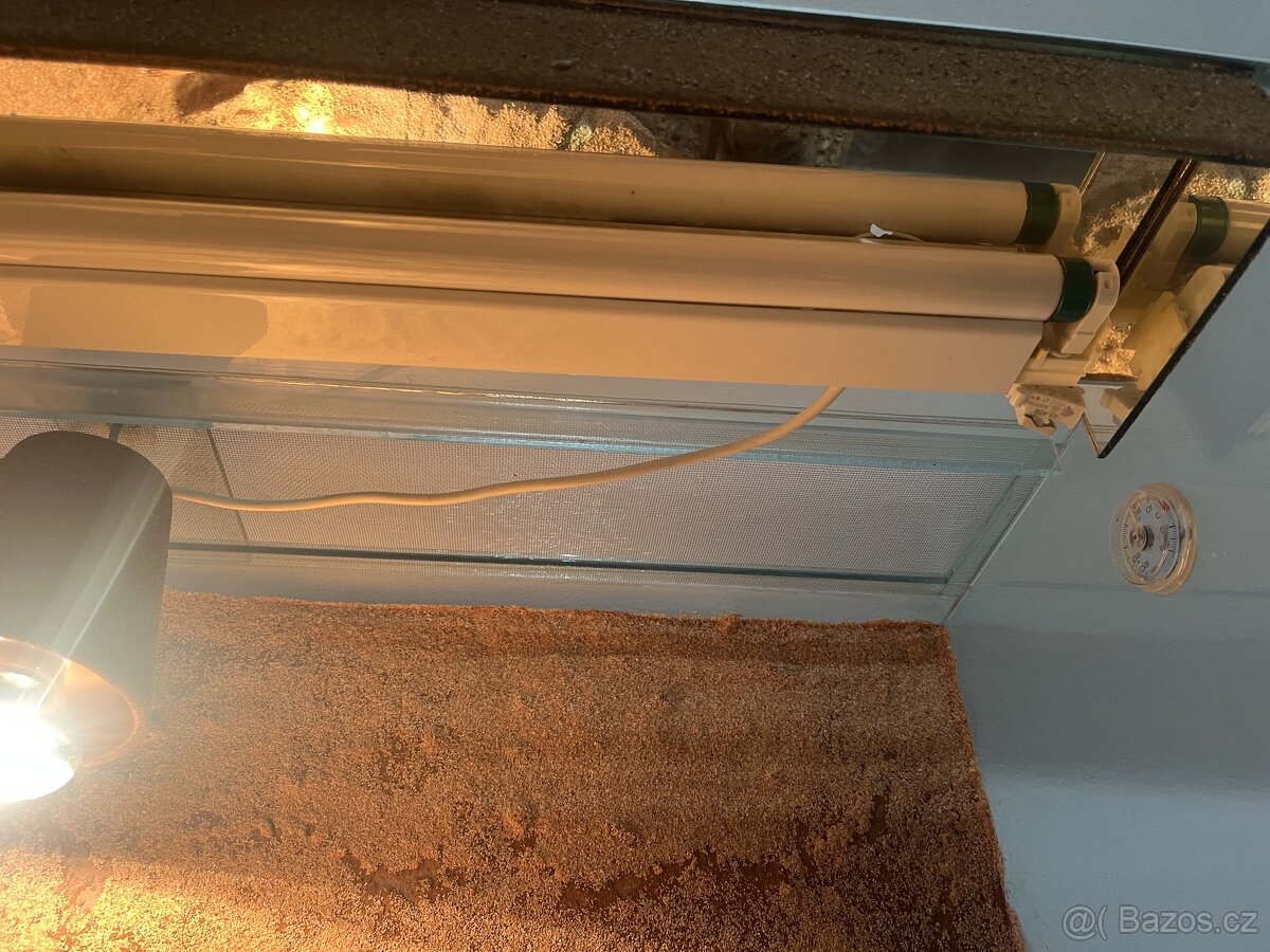 Nabízím terárium - 4