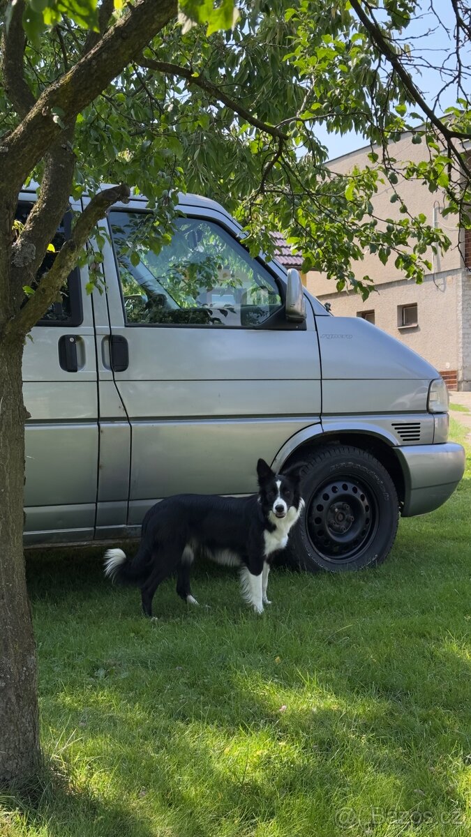 VW Transporter Multivan T4 4x4 syncro - 4