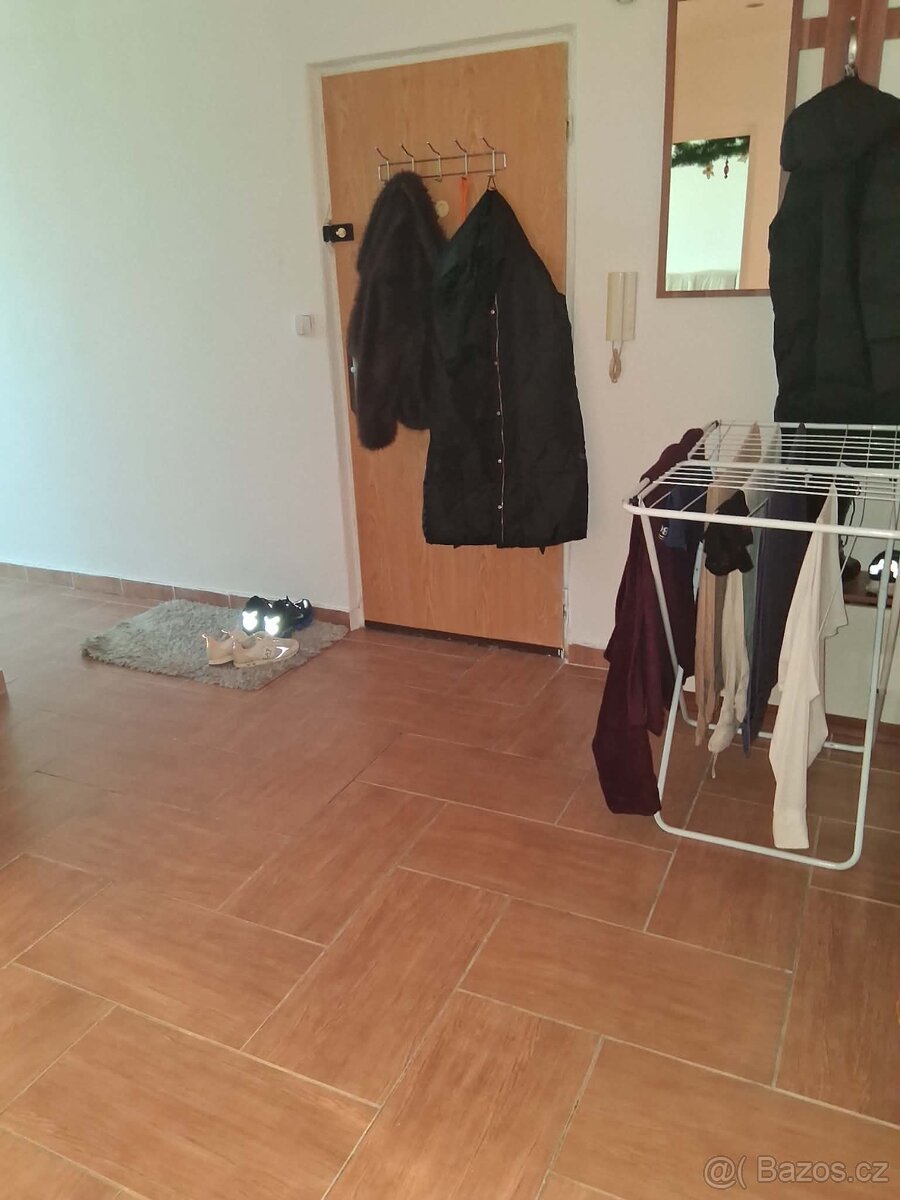 Vyměním byt 4+kk Brno Kohoutovice - 4