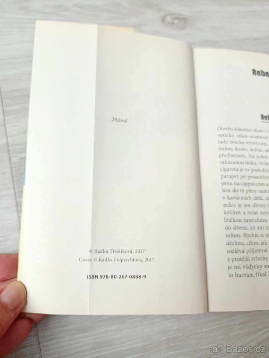 R. Třeštíková Bábovky - 4