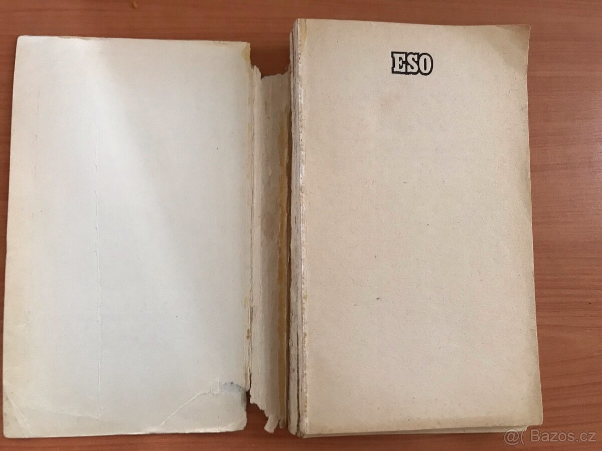 Sedmnáct zastavení jara - Julian Semenovič Semenov - 4