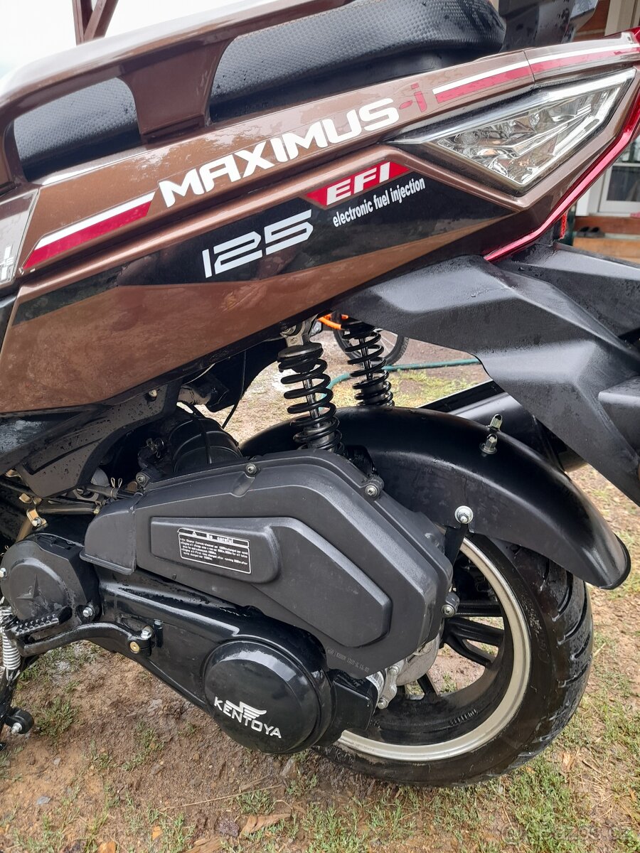 Kentoya maximus 125 - 4