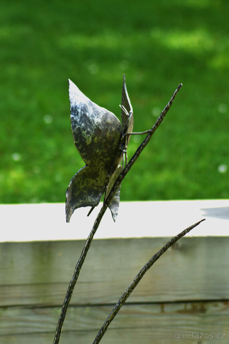 Motýl na stéblech - 4