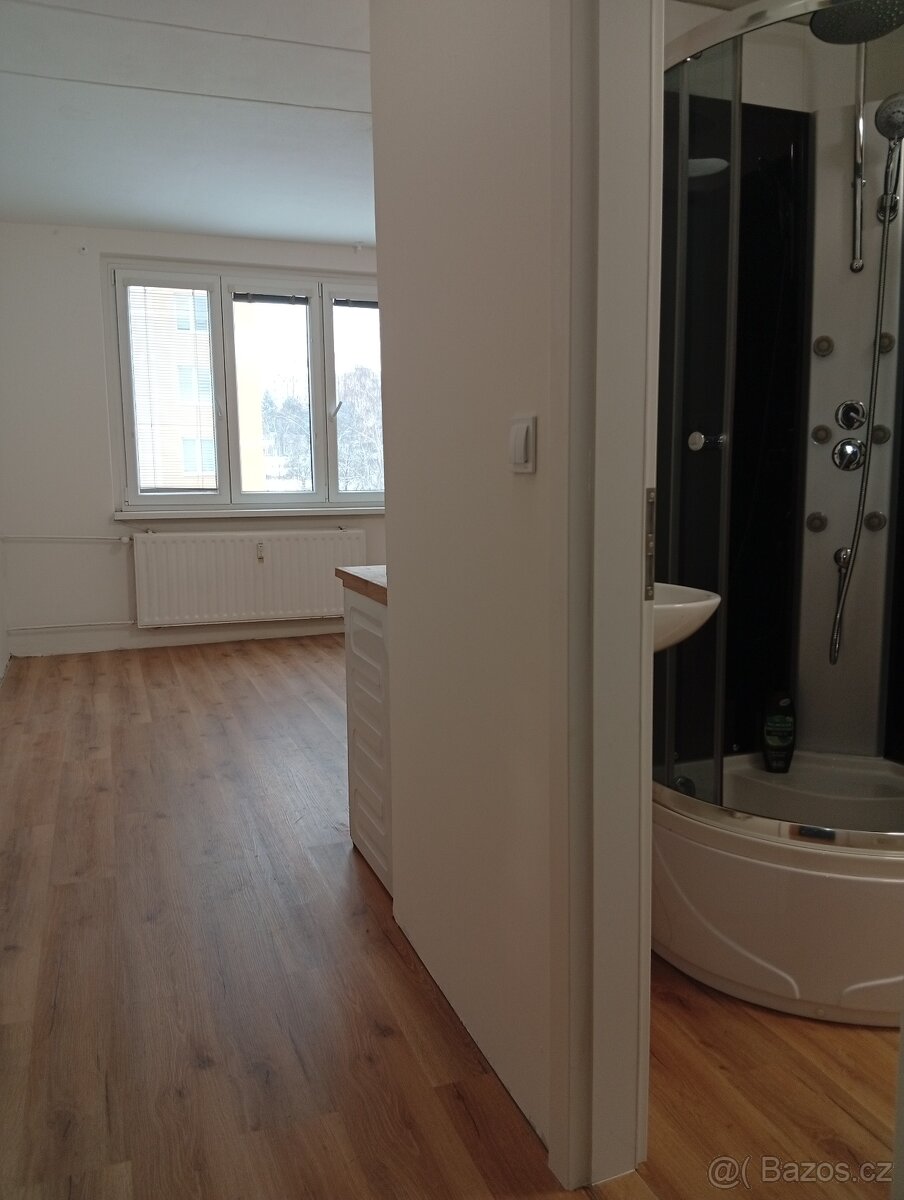 Pronájem, byt 1+kk, Jirkov, ul. Studentská - 4