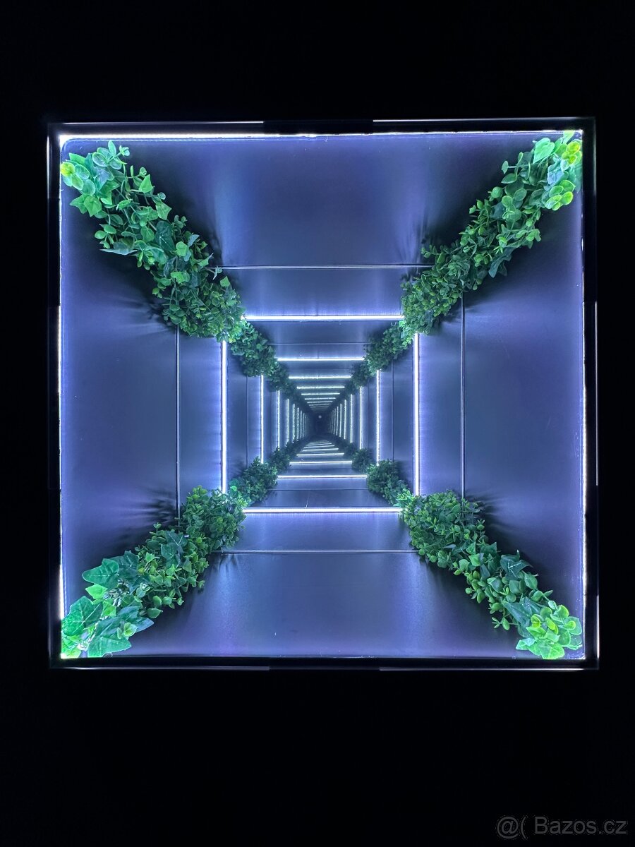 Aurelia Infinity - 4