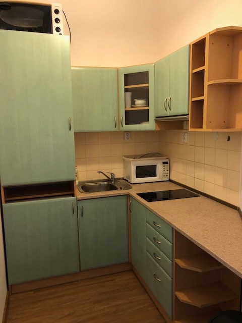 ÚTULNÝ BYT NA VINOHRADECH - 4