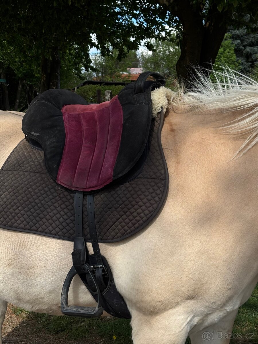 Orx Epona sedlo - 4