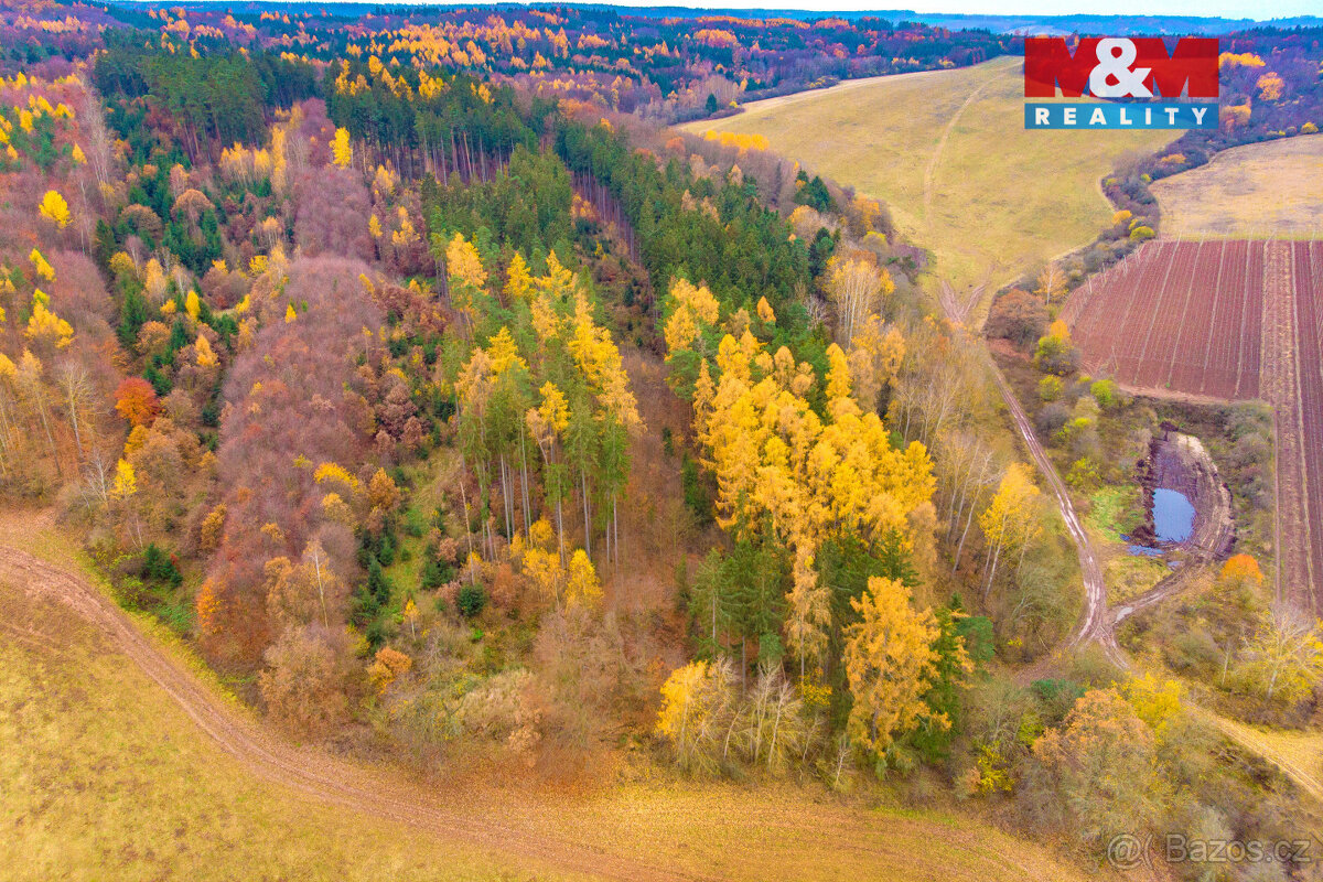 Prodej lesa, 2921 m², Tuchořice - 4