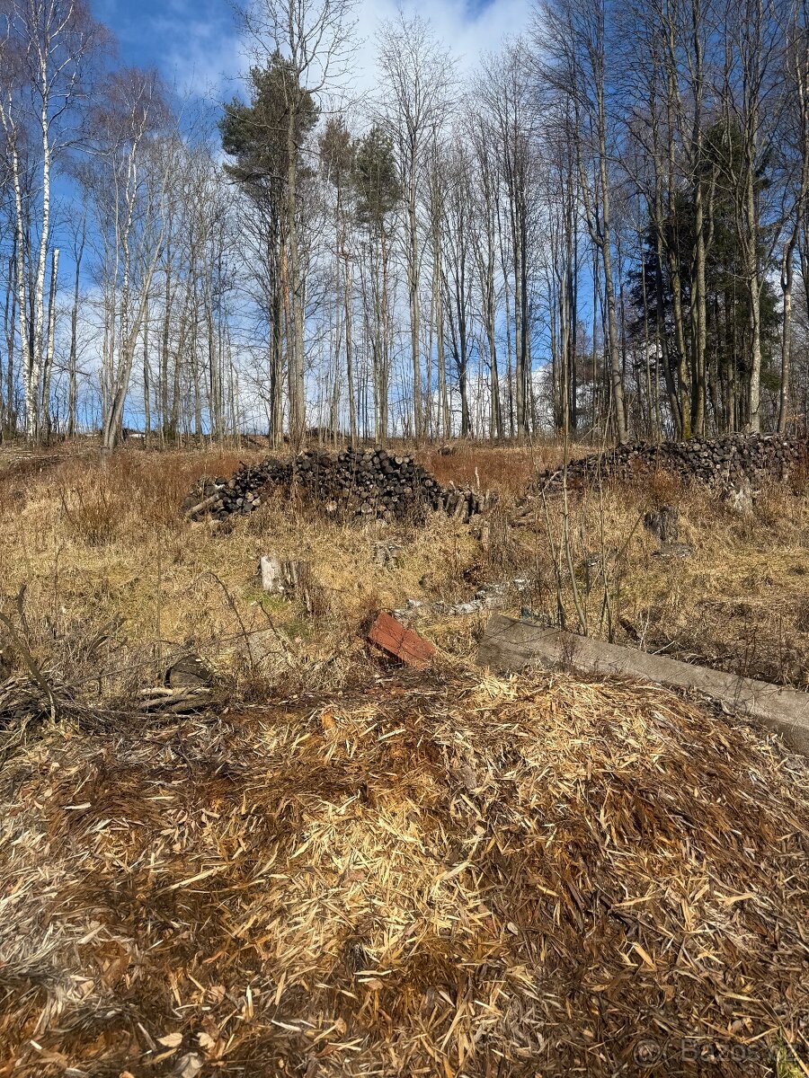 Prodám palivové dřevo - 4