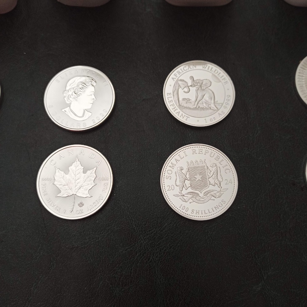 STŘÍBRO a ZLATO American Eagle, Maple, Panda a US Morgan atd - 4