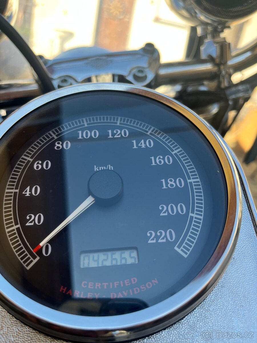 Harley Davidson, FLSTC, Heritage Softail100th - 4