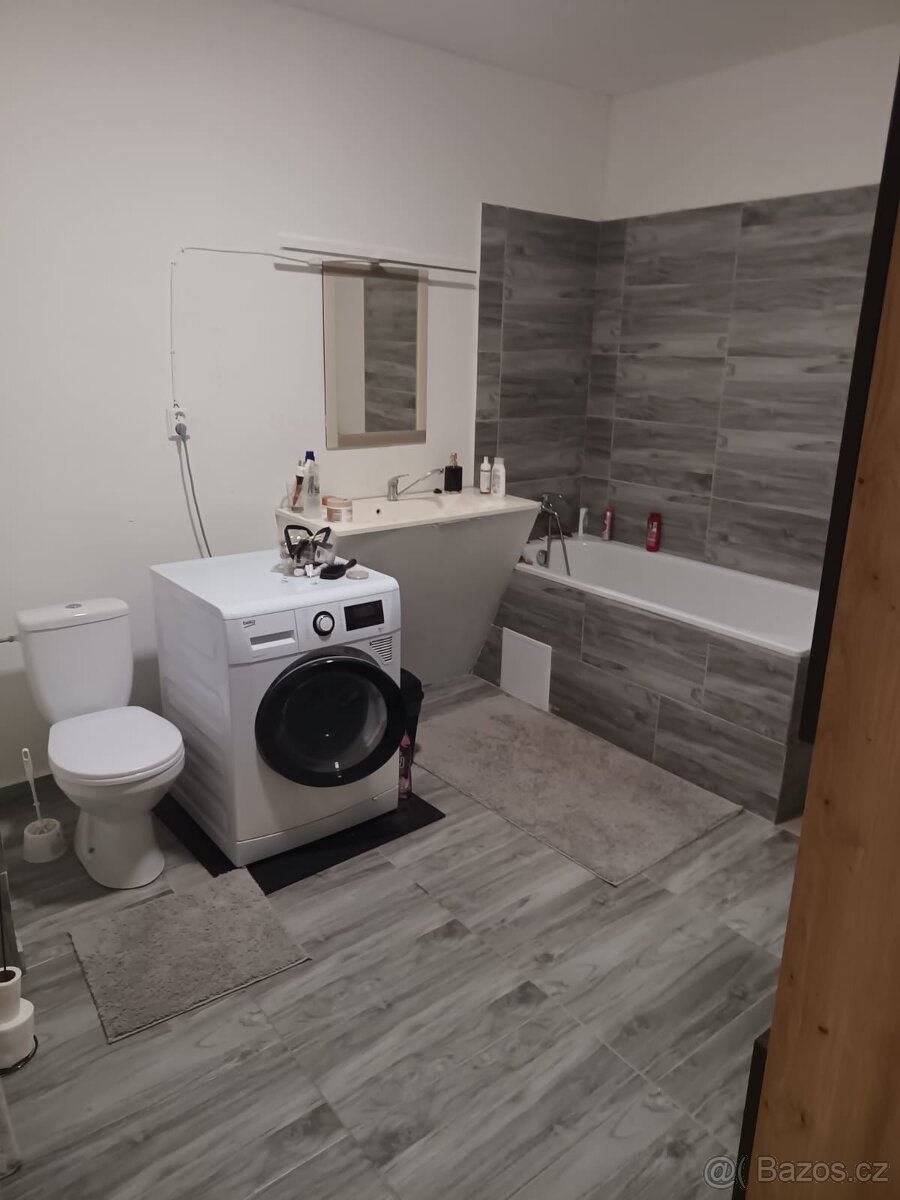 Pronajmu 2+1 v Aši - 4