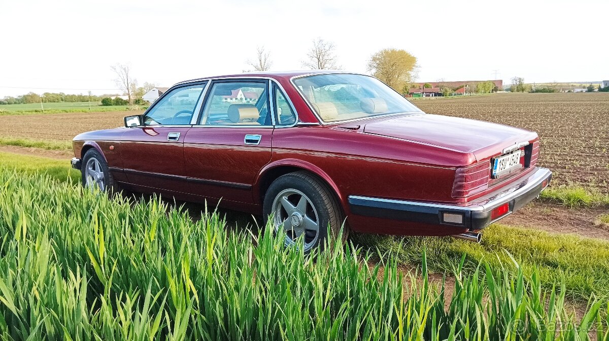 Jaguar XJ40 3.2 - 4
