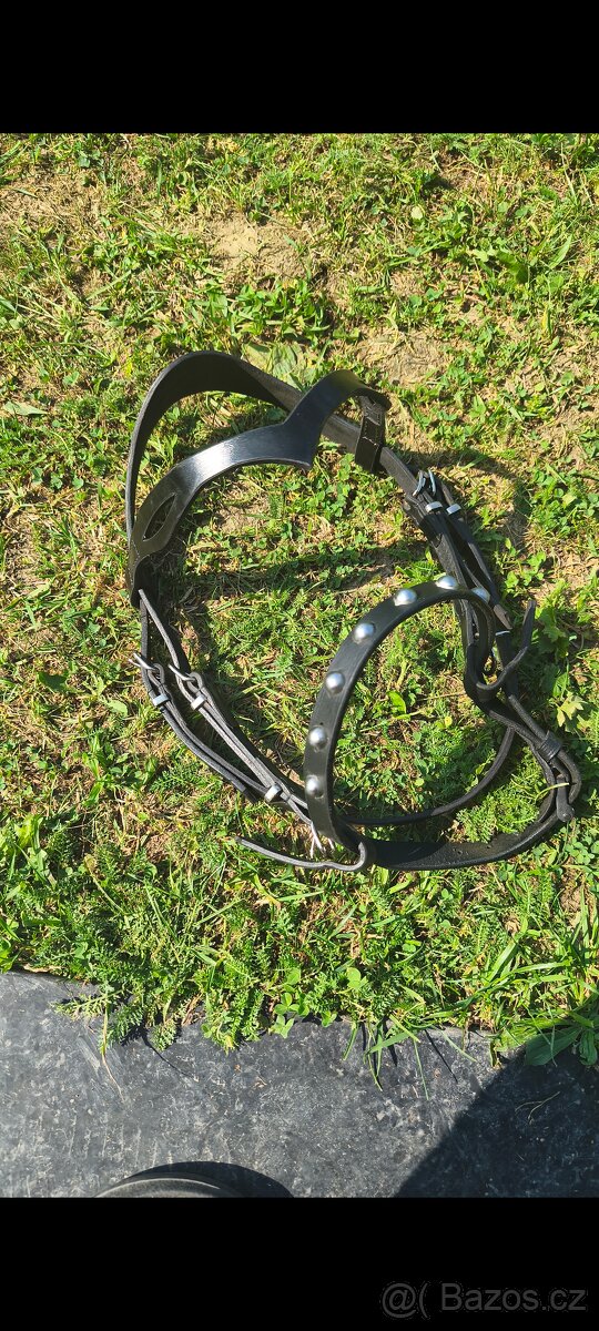 Karabina, pobočnice - 4