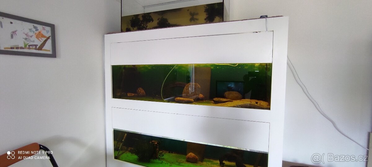 Akvarium 2x 300l - 4