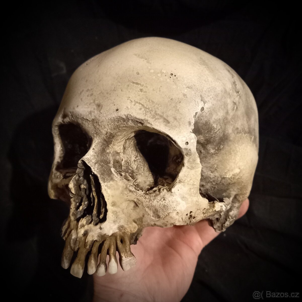 Replika lidské lebky human skull replica - 4