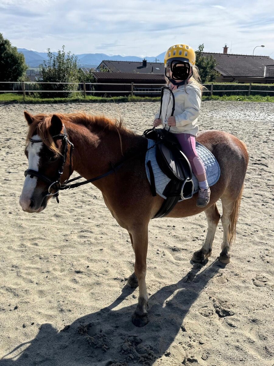 Pony ideálny pre deti - 4