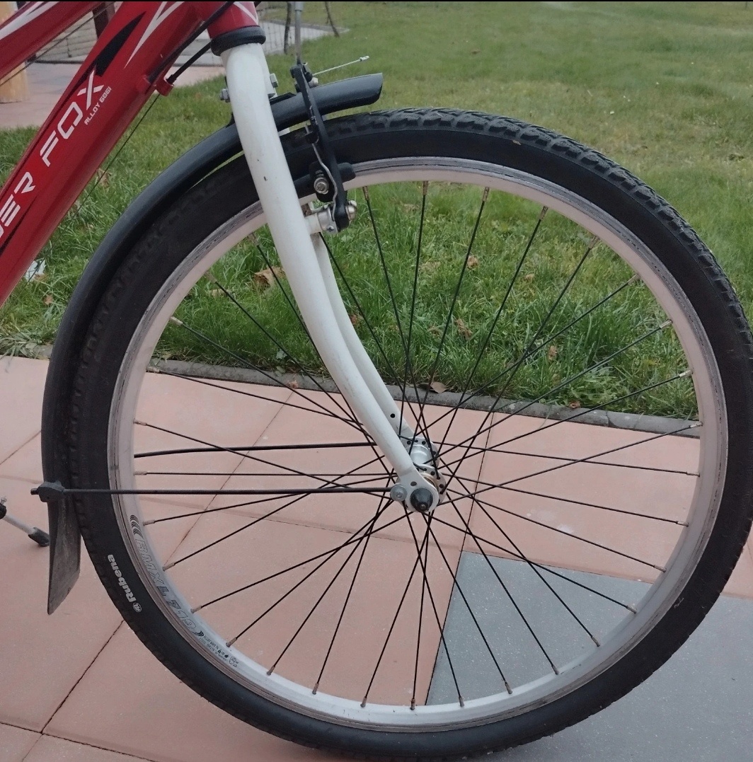 Dívčí kolo Leader Fox - 4