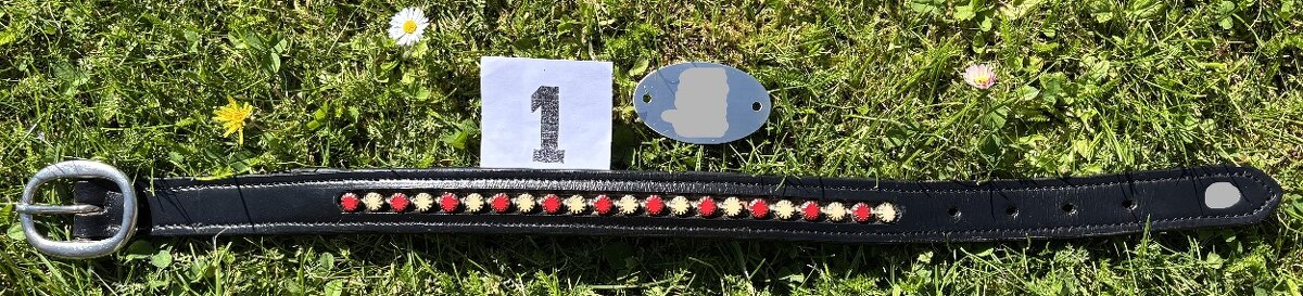 Kožený psí obojek bez připojení na vodítko, náhrdelník MIX - 4