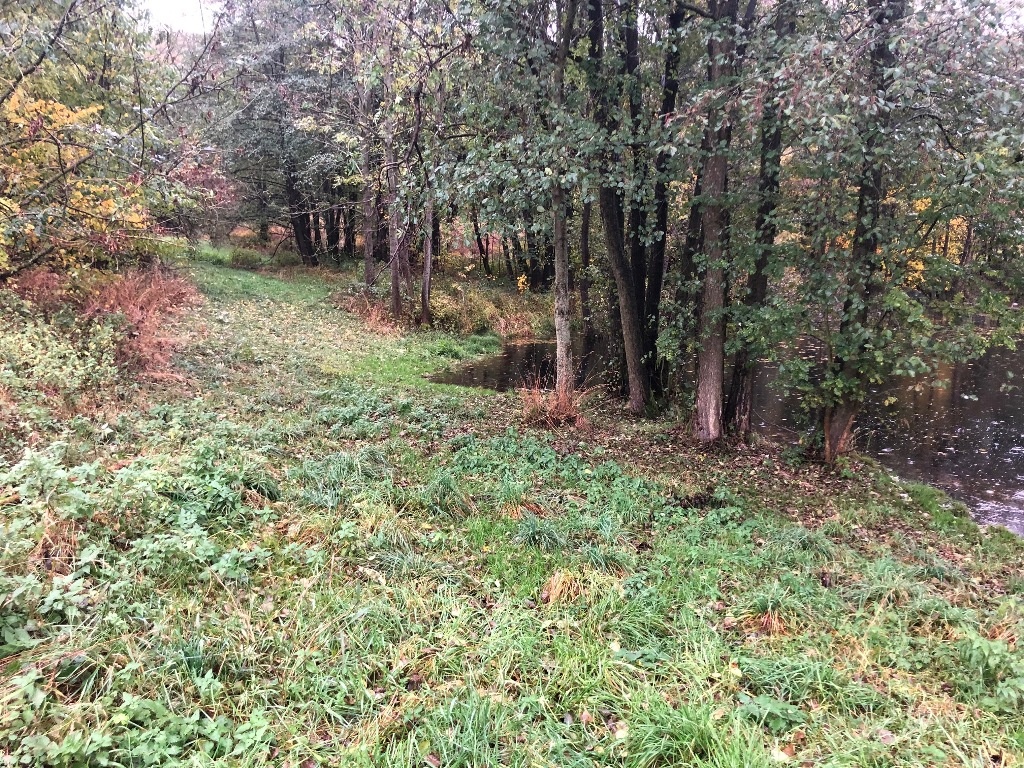 Rybník na prodej - 4