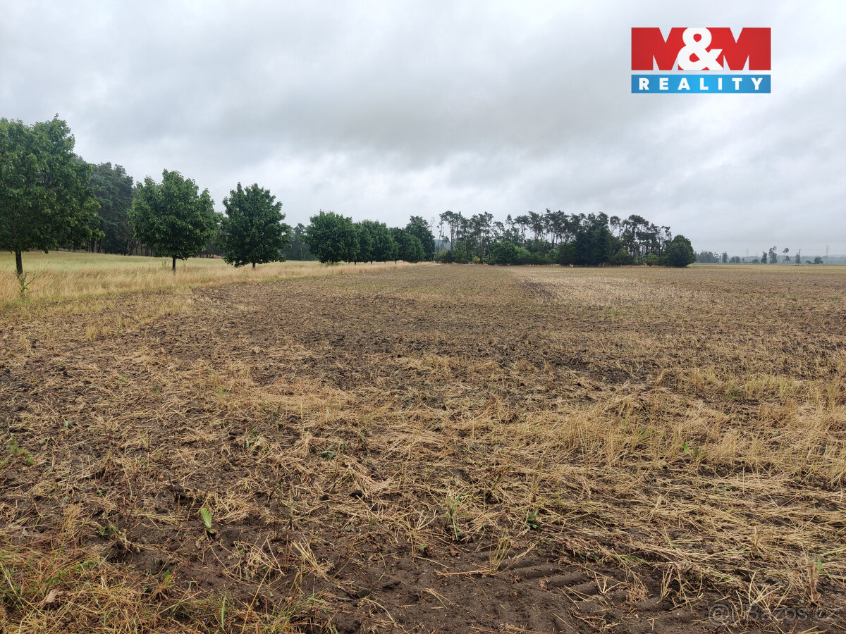 Prodej pole, 12454 m², Veletov - 4