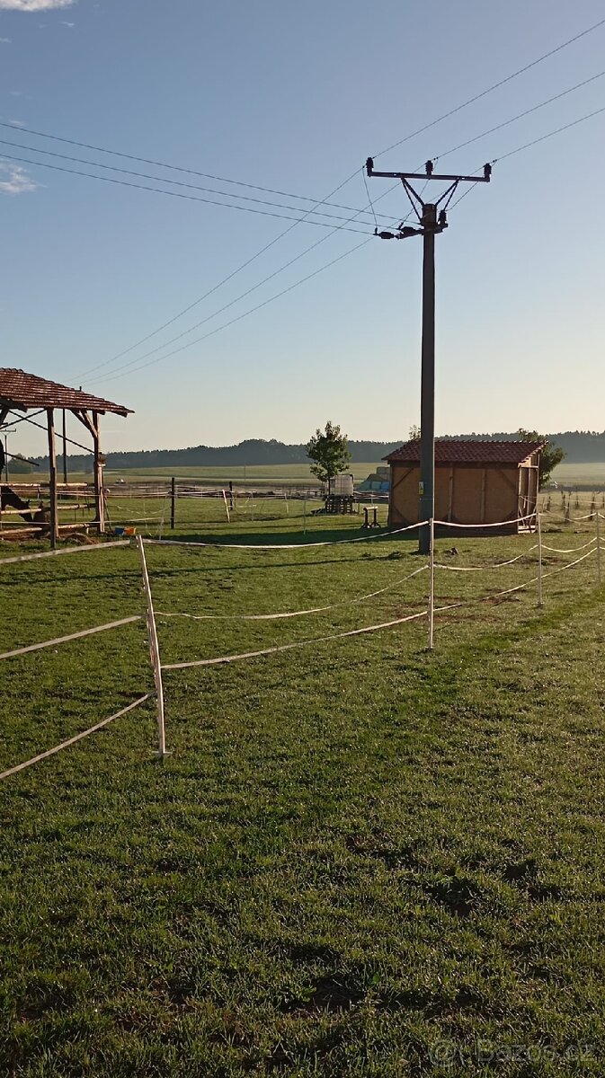 Pastevní ustájení - 4