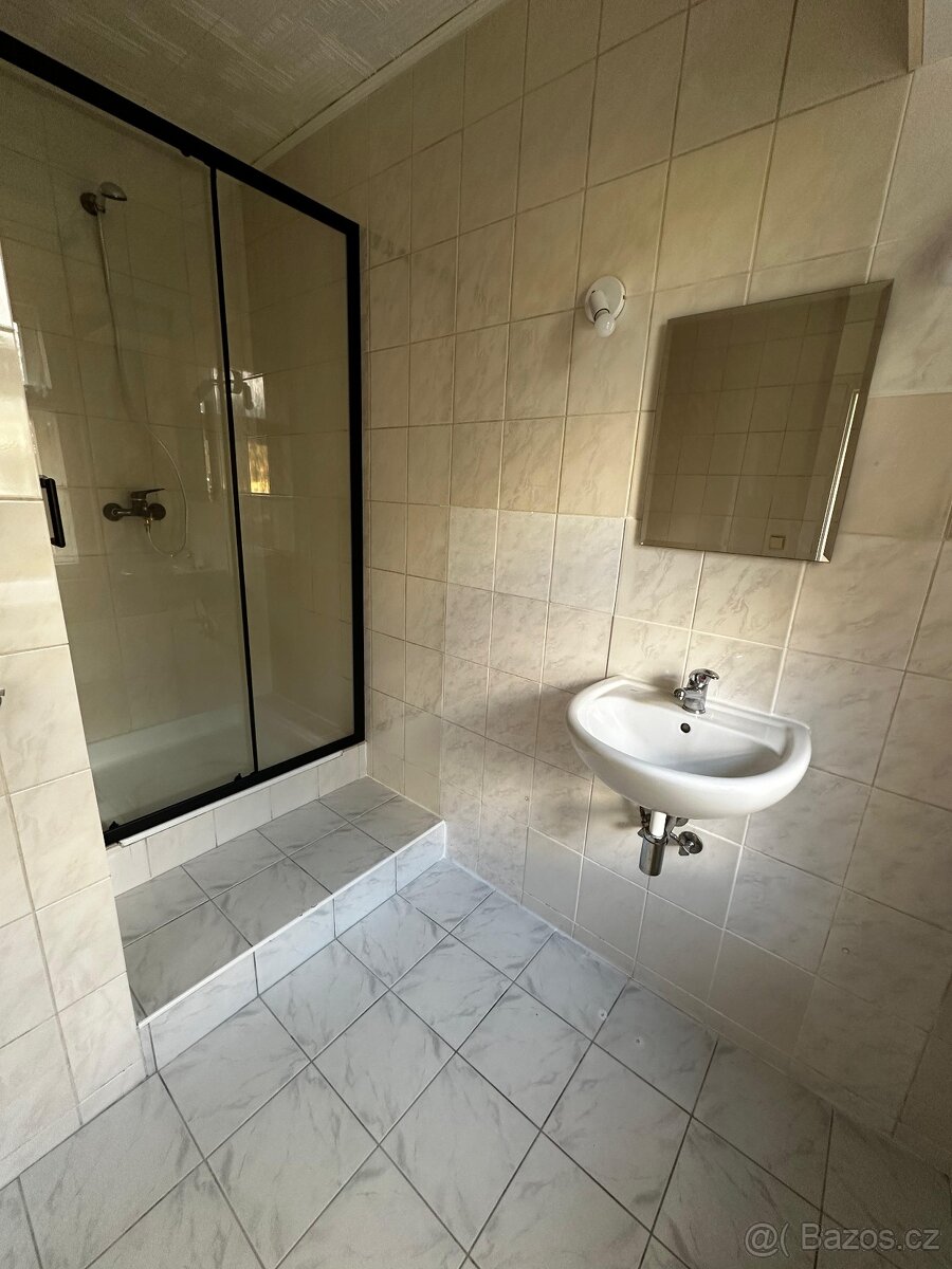 Pronájem bytu 1 + 1 - 4