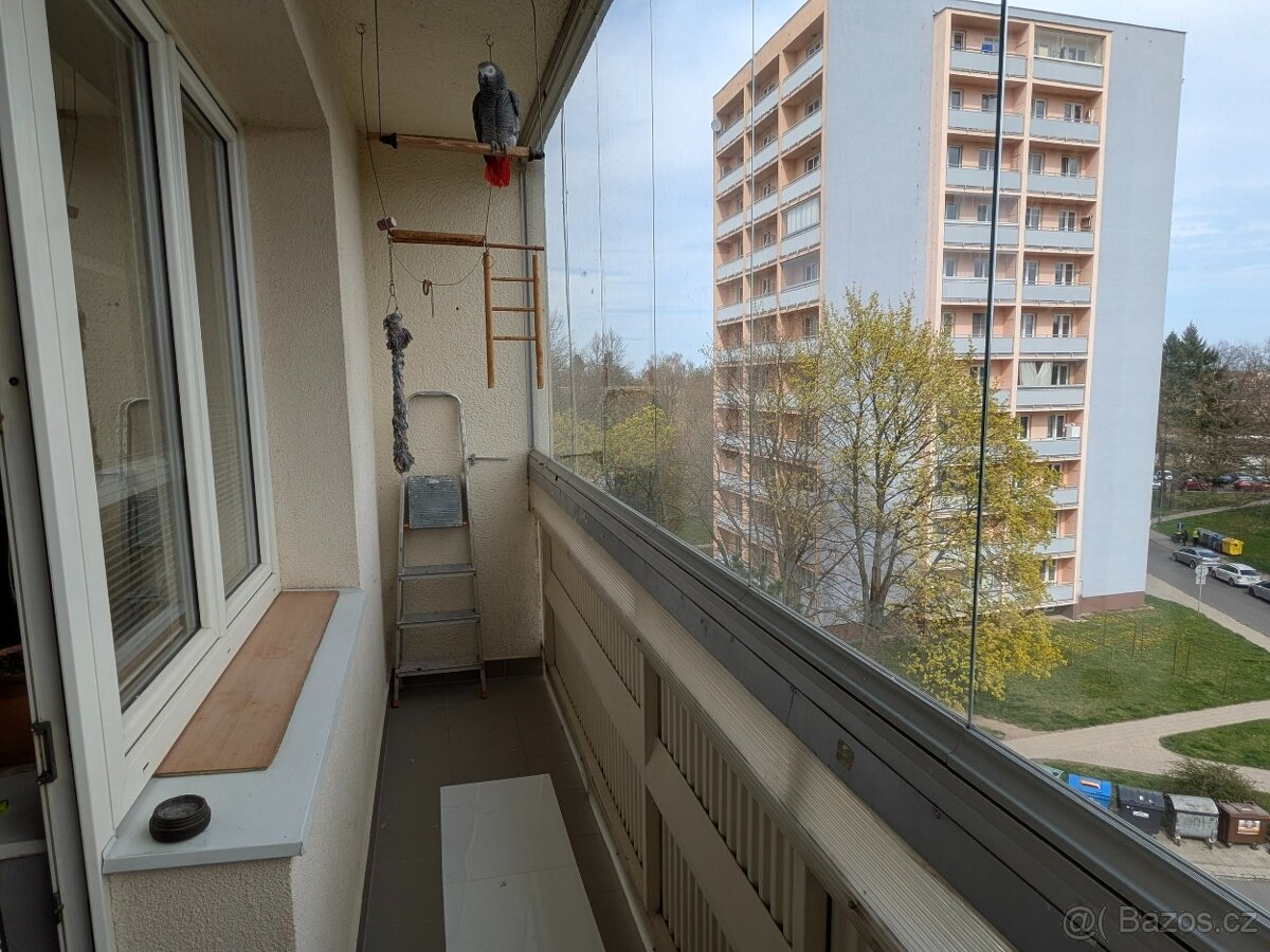 Prodej zajímavého bytu 2+1, Opava - 4