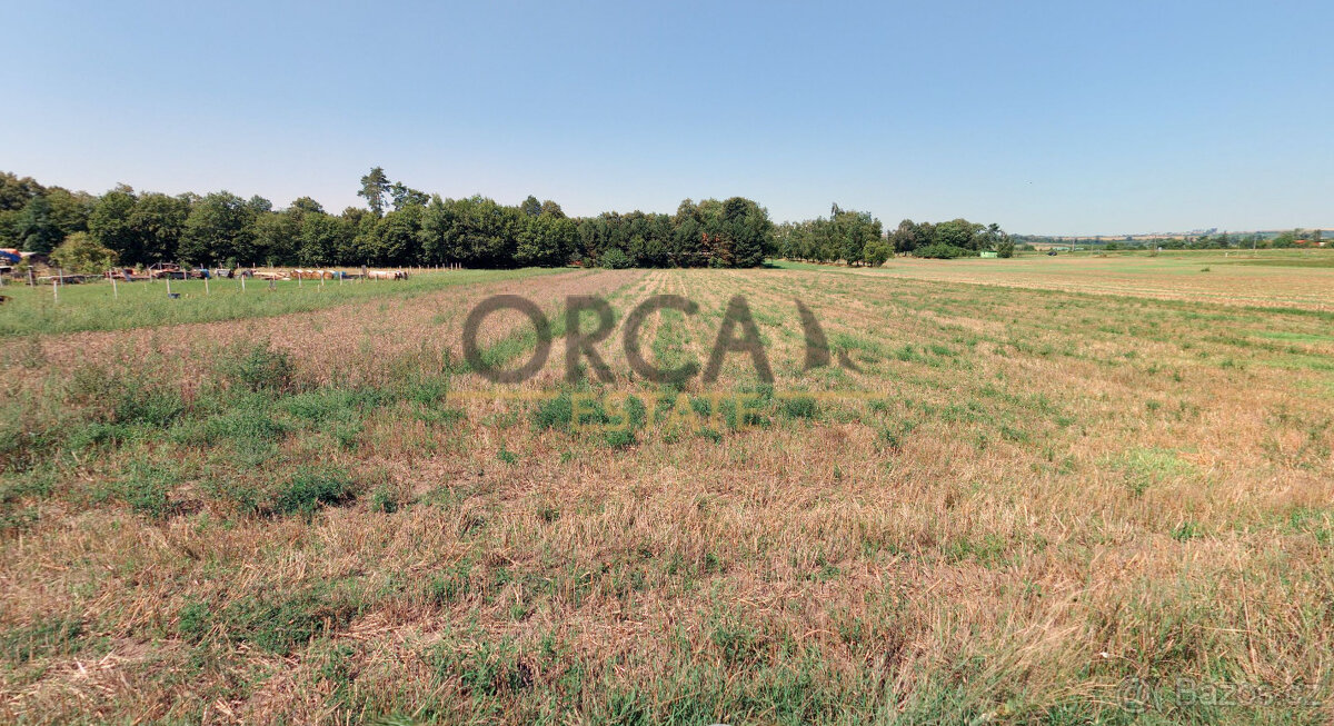 0,1 ha pozemku v k. ú. Moravský Písek - 4