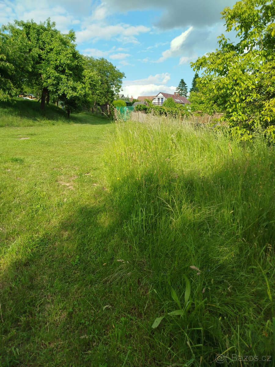 louka na sušení sena - 4