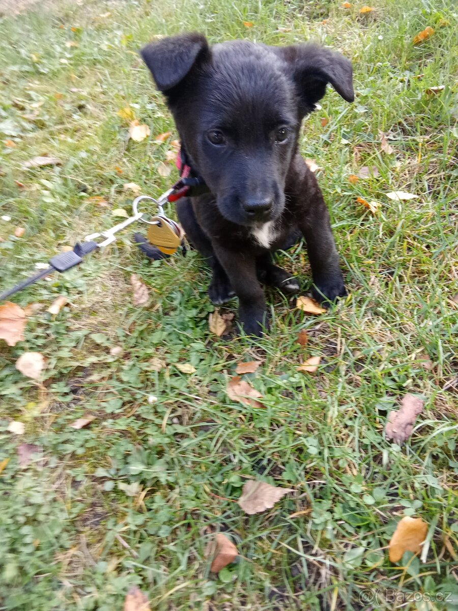 Z důvodu cestování - 4