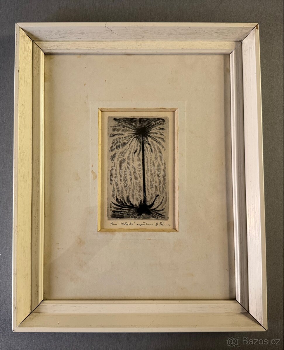 Obraz D.Tůma - 4