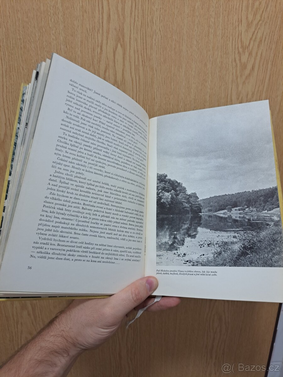 Mladým lovcům - Jánuš Koudelka - 4