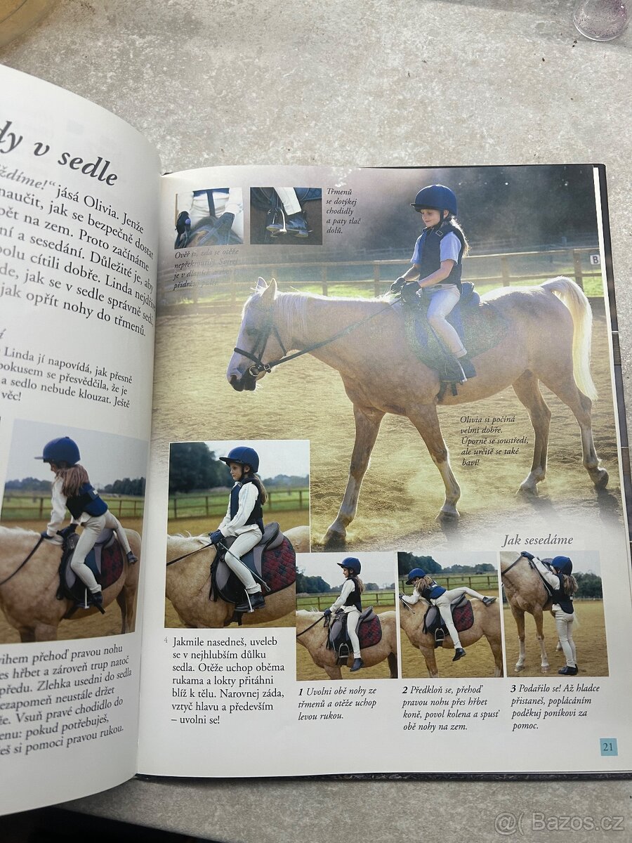 Škola jezdectví - 4