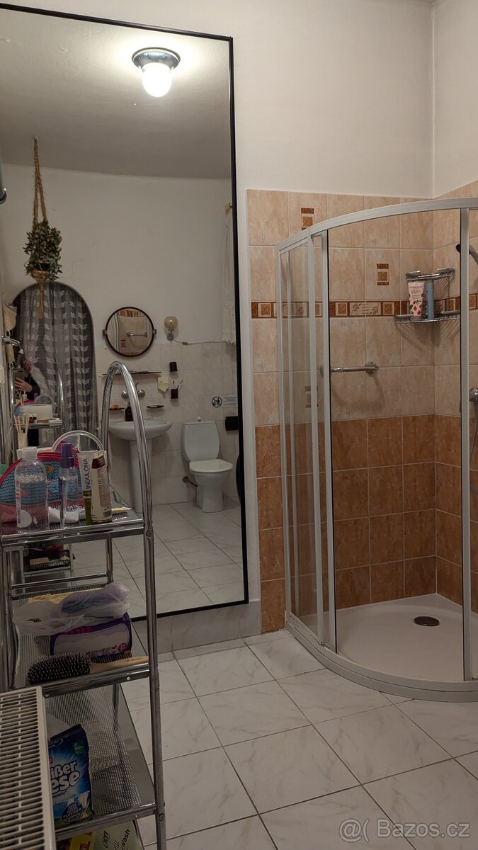 Pronájem bytu 3+kk 110m² v rodinném domě, dvě koupelny - 4