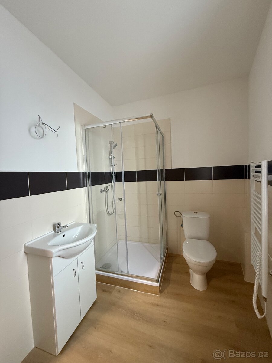 Pronájem bytu 1+1 - 4