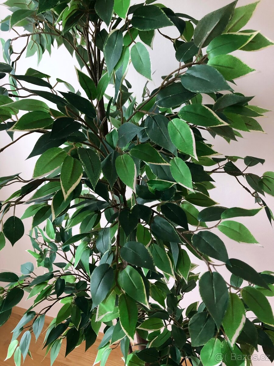 Umělá rostlina 180 cm - 4