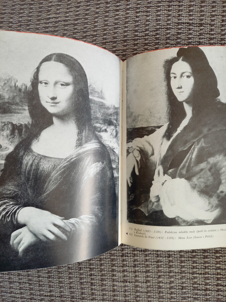 Dívka s perlou. - 4